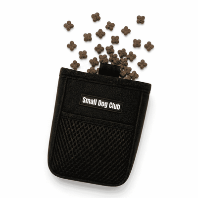 Dog Walk Treat Pouch