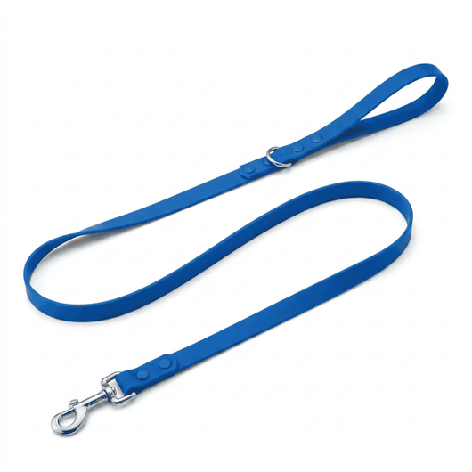 Small Dog Leash