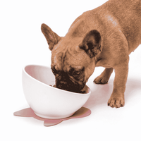 Ceramic Dog Bowl Designed For Frenchies Non-Slip Mat
