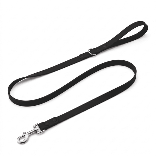 Small Dog Leash